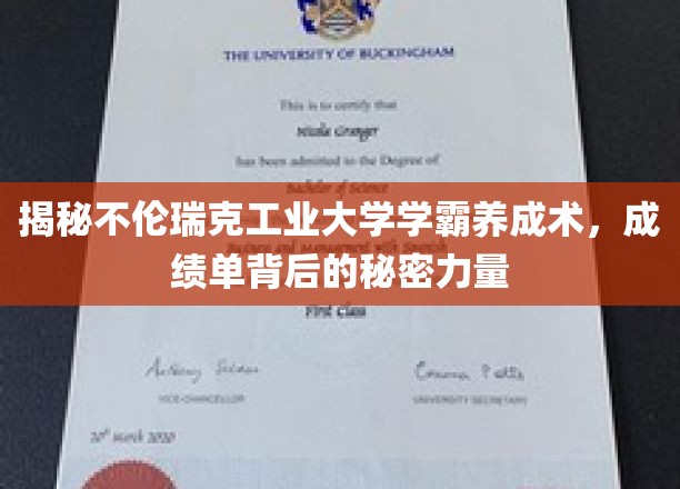 破解学霸秘籍，不伦瑞克工业大学高分背后的神奇法则