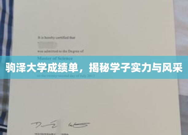 驹泽大学成绩单，揭秘学子实力与风采