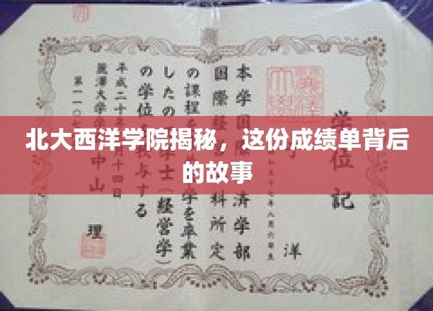 北大西洋学院成绩单背后的传奇揭秘，揭秘精英背后的奋斗历程