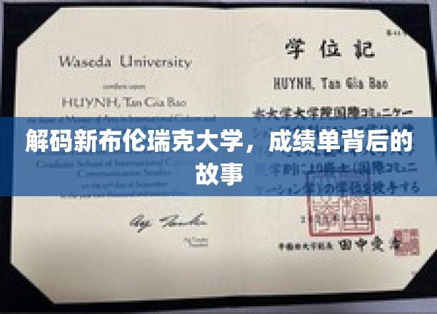 揭开新布伦瑞克大学成绩单背后的独特篇章