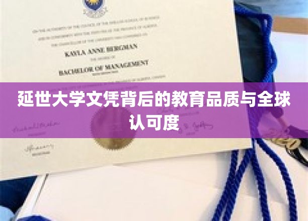 延世大学文凭背后的教育品质与全球认可度