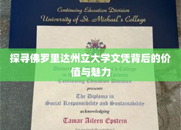解码佛罗里达州立大学，文凭背后的非凡奥秘与无限前景