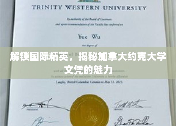 加拿大约克大学文凭，引领全球精英的非凡之旅