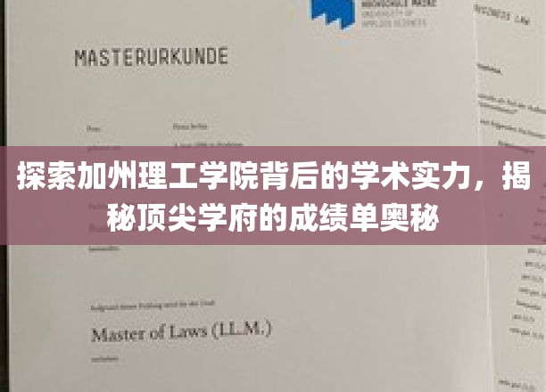 解码加州理工学院，探寻学术巅峰的秘密武器
