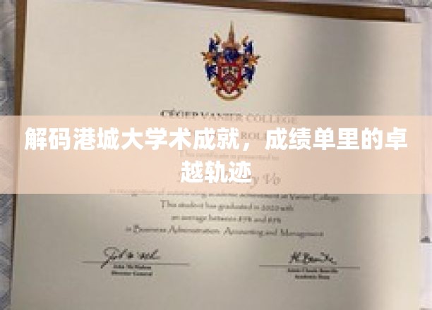 解码港城大学术成就，成绩单里的卓越轨迹