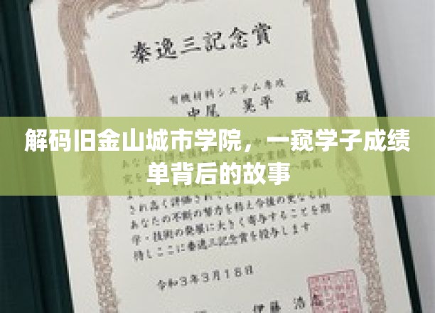 揭开金门学府神秘面纱，探寻城市学院学子成绩单背后的励志篇章