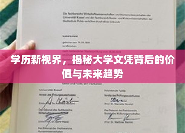 学历新视界，揭秘大学文凭背后的价值与未来趋势