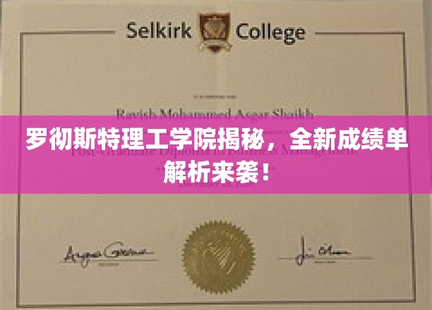 探索罗切斯特理工学院，成绩单革新解析大揭秘