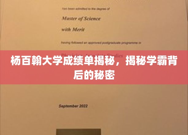 杨百翰大学成绩单揭秘：探寻学霸背后的奥秘