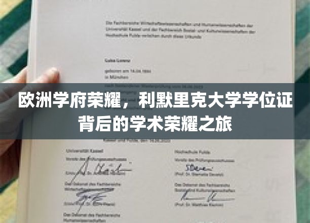 欧洲学府荣耀，利默里克大学学位证背后的学术荣耀之旅