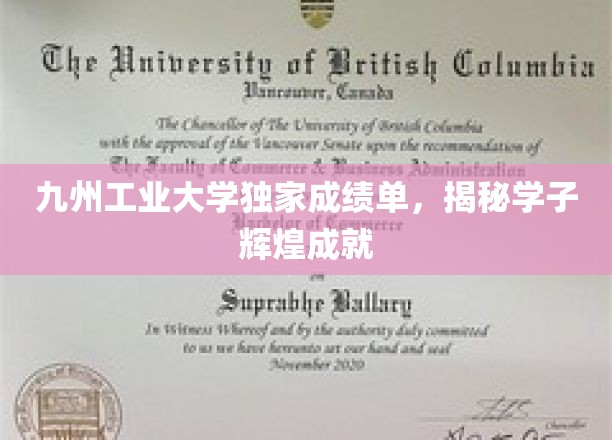 九州工业大学独家成绩单，揭秘学子辉煌成就