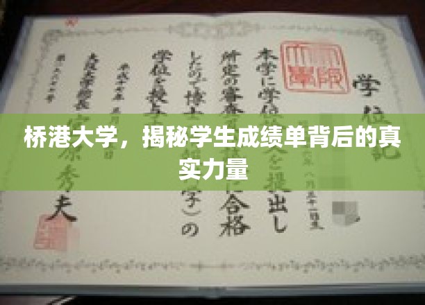 揭开桥港大学成绩单背后的神秘动力