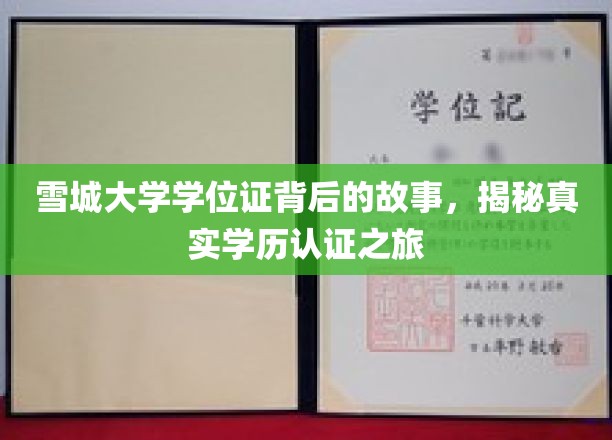雪城大学学位证背后的传奇，揭秘学历认证的神秘旅程