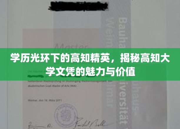高学历精英的光环背后，大学文凭的深层魅力与实际价值剖析