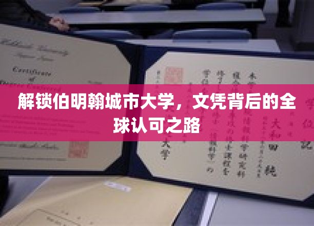 伯明翰城市大学，揭秘国际通行证背后的精彩历程
