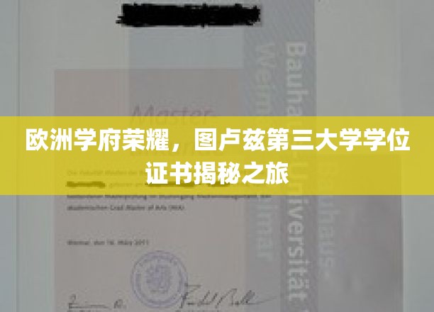 欧洲学府荣耀，图卢兹第三大学学位证书揭秘之旅