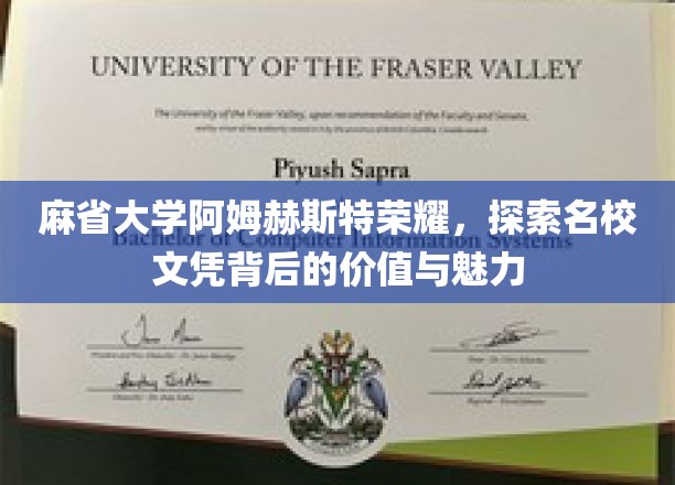 麻省大学阿姆赫斯特荣耀，探索名校文凭背后的价值与魅力