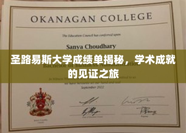圣路易斯大学成绩单揭秘，学术成就的见证之旅