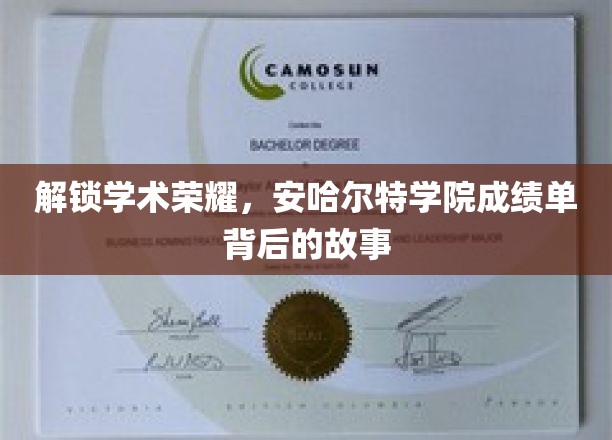 解锁学术荣耀，安哈尔特学院成绩单背后的故事