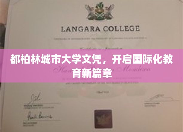 都柏林城市大学文凭，领航全球教育新时代