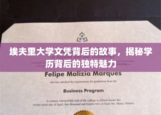 探寻埃夫里大学文凭背后的传奇，揭秘学历的独特魅力之旅