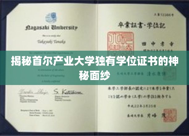 首尔产业大学学位证书，探寻其背后的独特魅力与价值
