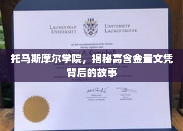 托马斯摩尔学院，揭秘高含金量文凭背后的故事