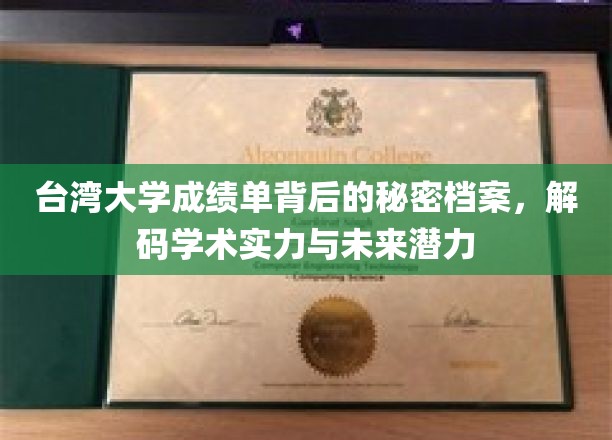 揭秘台湾大学成绩单背后的秘密档案，解码学术实力与未来潜力