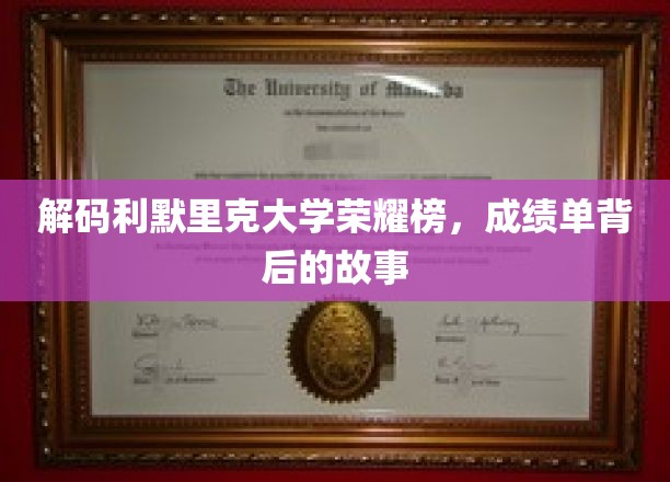解码利默里克大学荣耀榜，成绩单背后的故事