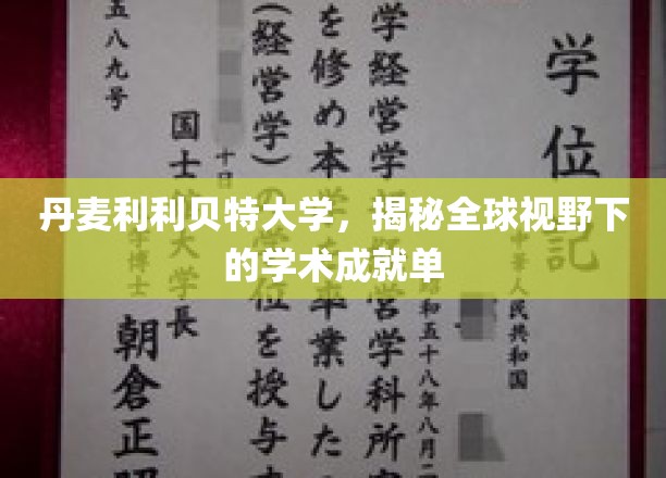 丹麦利利贝特大学，国际舞台上闪耀的学术璀璨之星