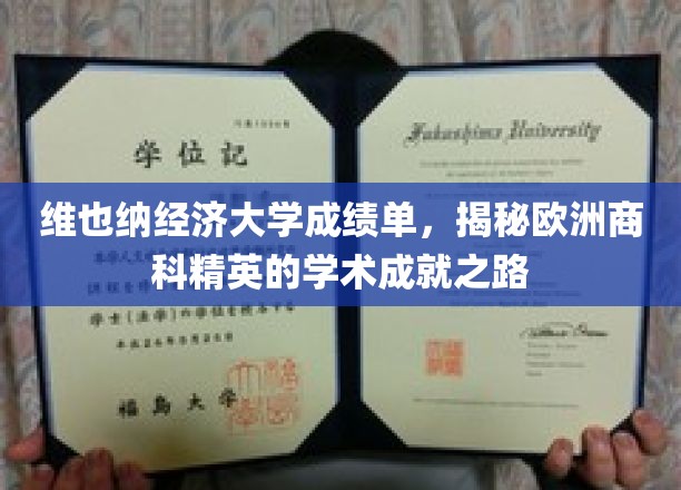 维也纳经济大学成绩单，揭秘欧洲商科精英的学术成就之路