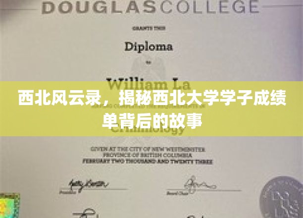 西北风云录，揭秘西北大学学子成绩单背后的故事