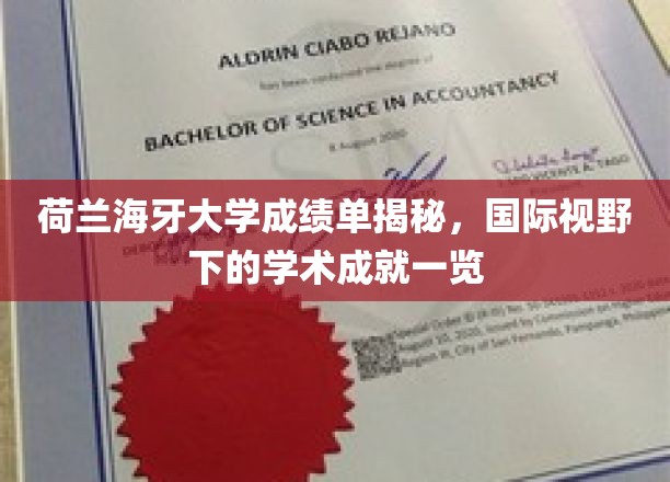 解锁荷兰海牙大学学术风采，国际视角下的卓越成绩解析