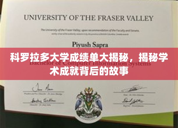 科罗拉多大学成绩单大揭秘，揭秘学术成就背后的故事
