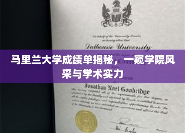 马里兰大学成绩单揭秘，一窥学院风采与学术实力