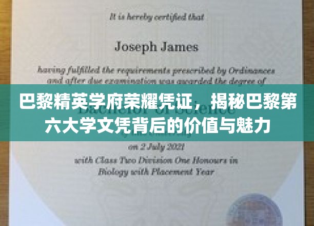 巴黎精英学府荣耀凭证，揭秘巴黎第六大学文凭背后的价值与魅力