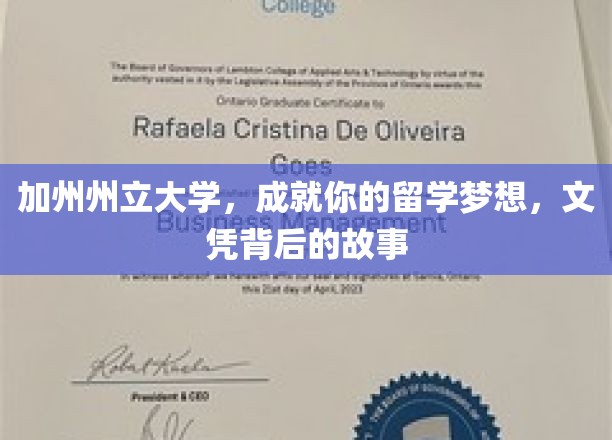 解码加州州立大学，揭开留学生梦校的文凭奥秘之旅