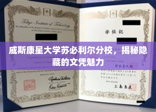 探索威斯康星大学苏必利尔分校，一纸文凭背后的独特魅力
