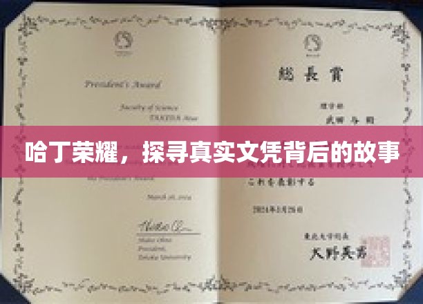 哈丁荣耀，探寻真实文凭背后的故事