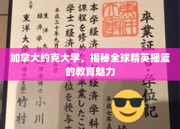 加拿大约克大学，揭秘全球精英摇篮的教育魅力