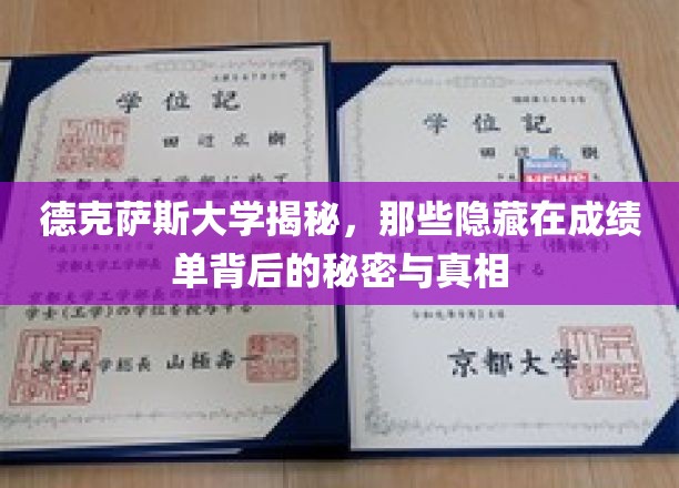 德克萨斯大学揭秘，那些隐藏在成绩单背后的秘密与真相