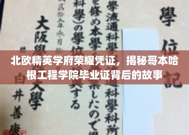 北欧精英学府荣耀凭证，揭秘哥本哈根工程学院毕业证背后的故事