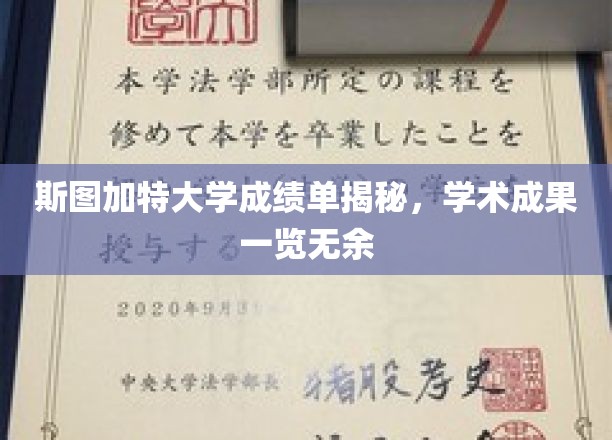 斯图加特大学成绩单大揭秘，学术成就尽收眼底