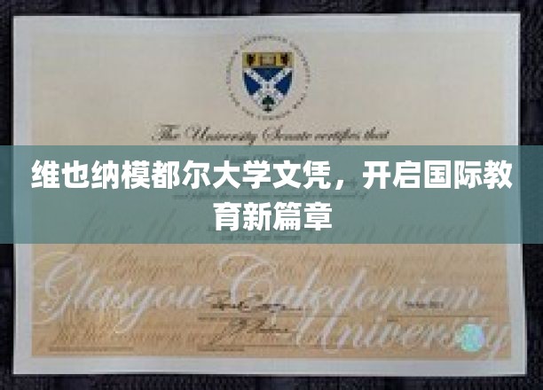 跨越国界，维也纳模都尔大学文凭引领教育新纪元