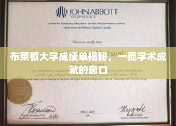 揭开布莱顿大学成绩单面纱，探寻学子学术成就的缩影