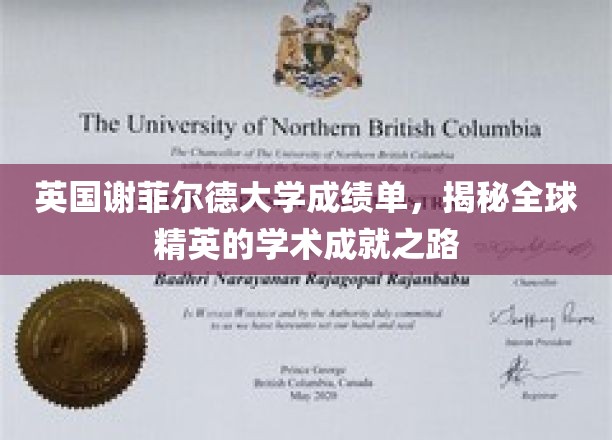 英国谢菲尔德大学成绩单，揭秘全球精英的学术成就之路