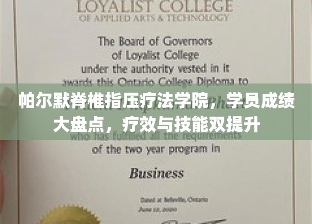 帕尔默脊椎指压疗法学院学员实力大阅兵，疗效技能同步飞跃