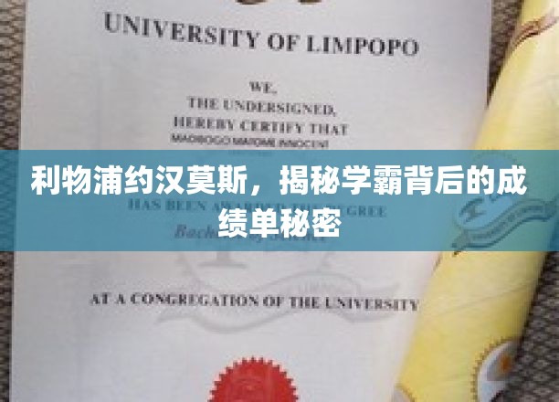 利物浦球星约汉莫斯，揭秘学霸光环下的非凡成绩单