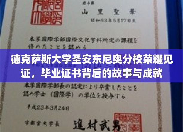 德克萨斯大学圣安东尼奥分校荣耀见证，毕业证书背后的故事与成就