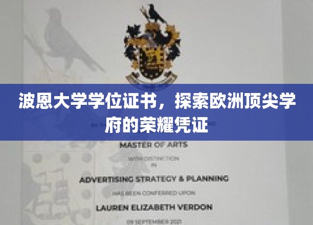 解码波恩荣耀，欧洲顶级学府的学位证书之谜